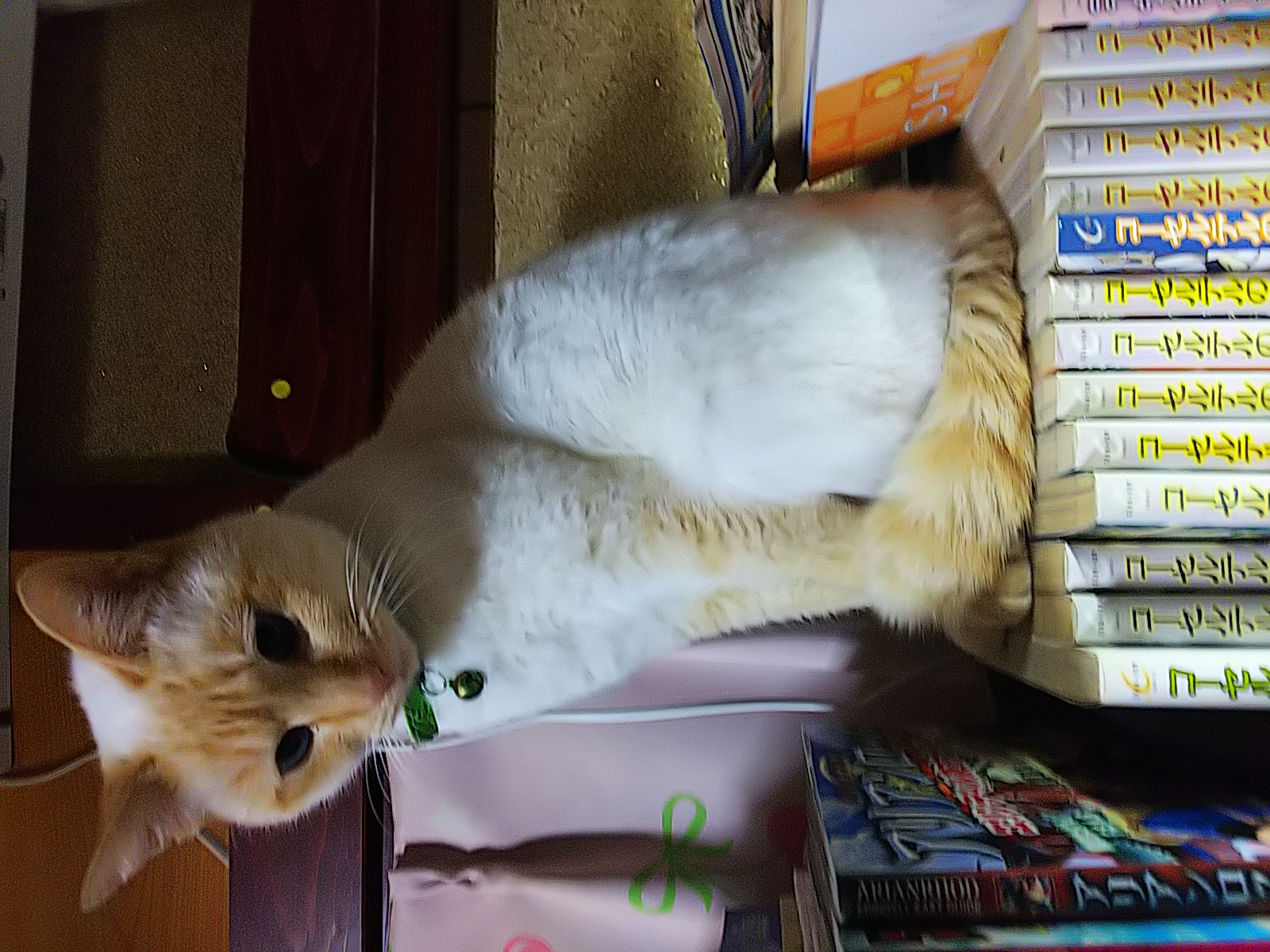 三十八回目、 映画刀剣乱舞のこと