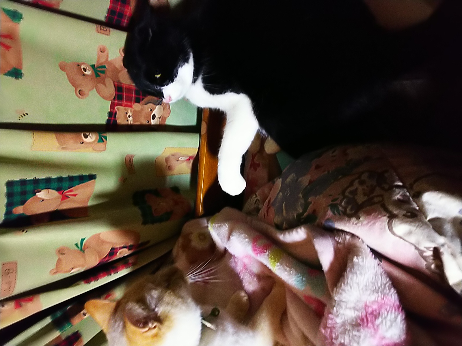 トークテーマ、聞いて欲しい曲で