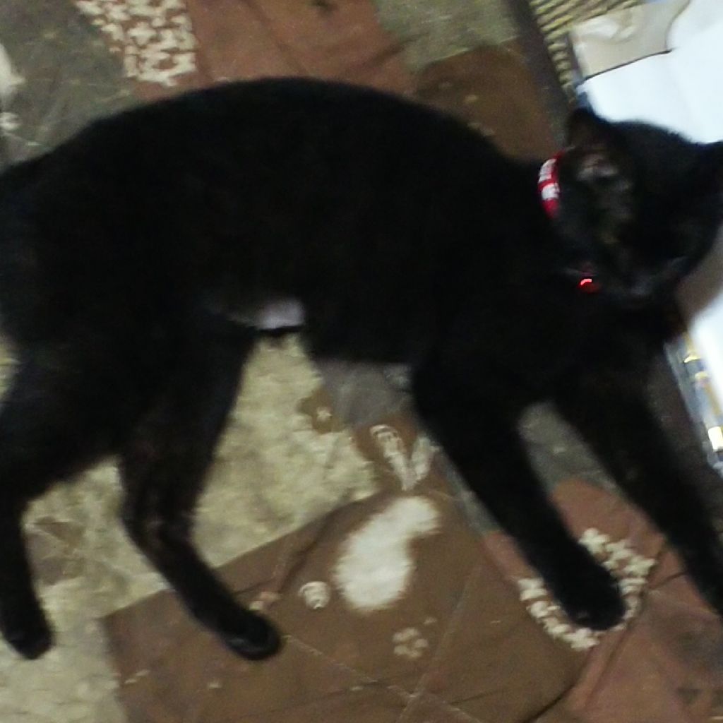 １８１、 マイク使って幻想水滸伝について話す