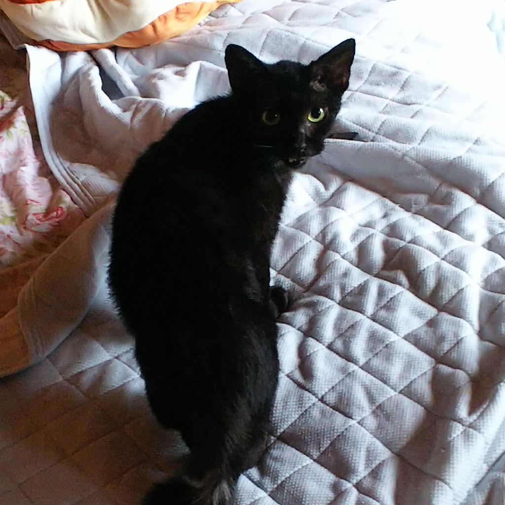 １８４、８月最後、 水害にあって2周年なので振り返ってマイクでぐだる