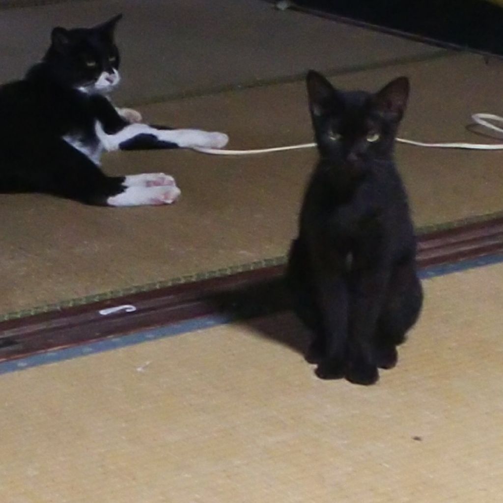 １８９、 日常のこととジャンプスクエアの感想