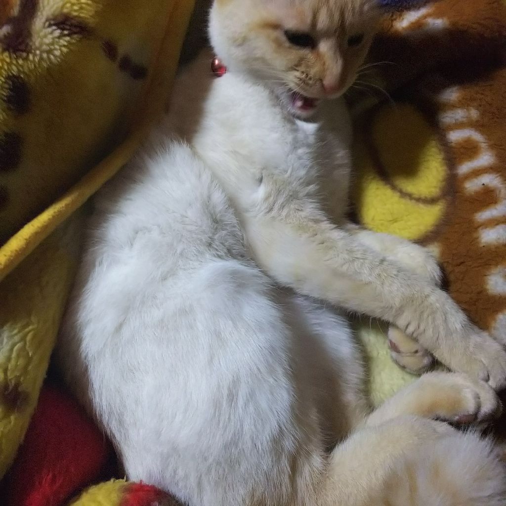 ３５８ 時の流れは早い ぐだぐだデイズ Radiotalk ラジオトーク