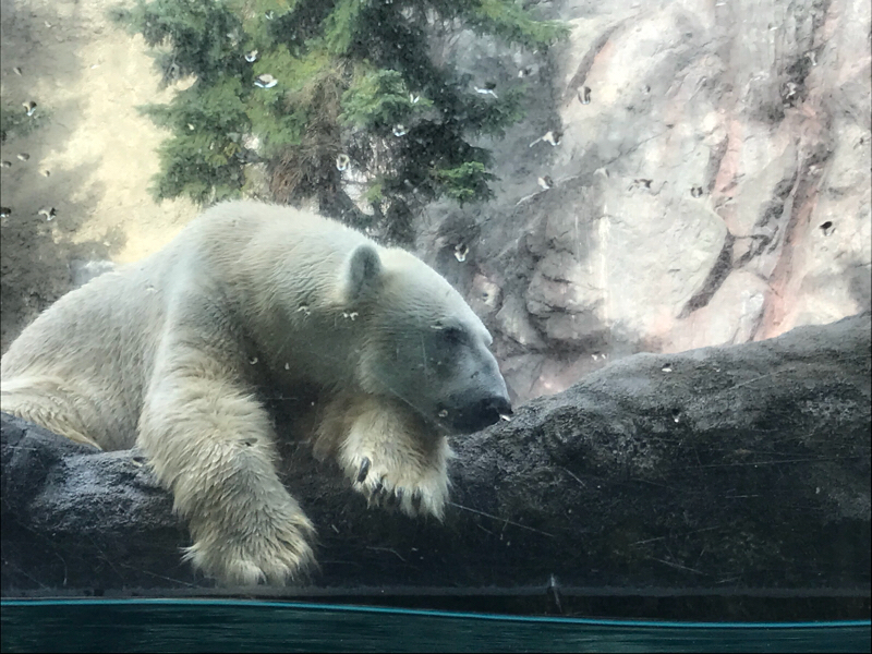 ♡04 絵描きがいいねの数だけ答える