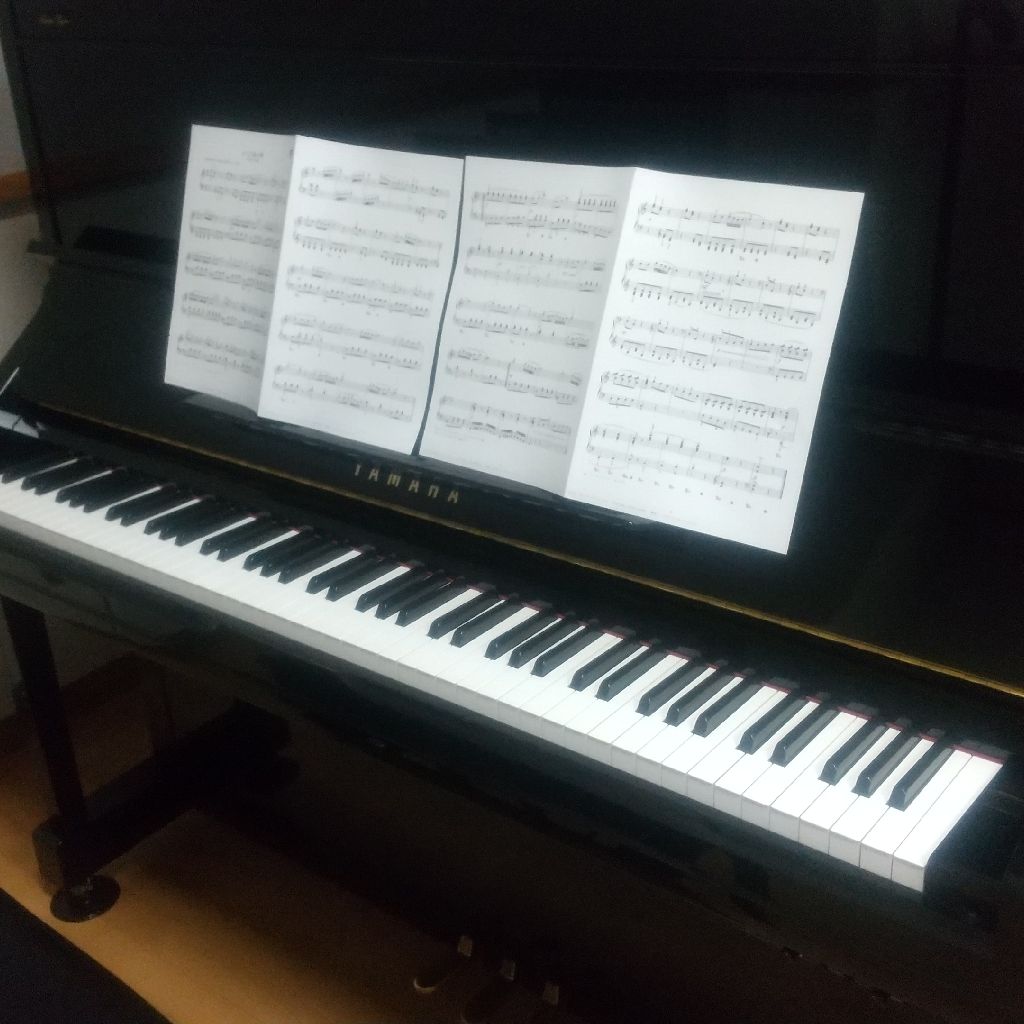 #119 ショパンな秋🎹