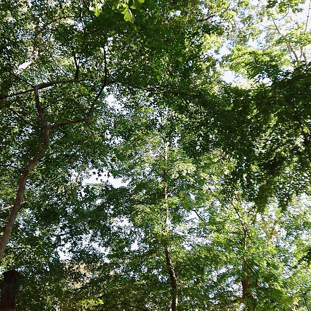 ひらめいた、コンテンツについて。