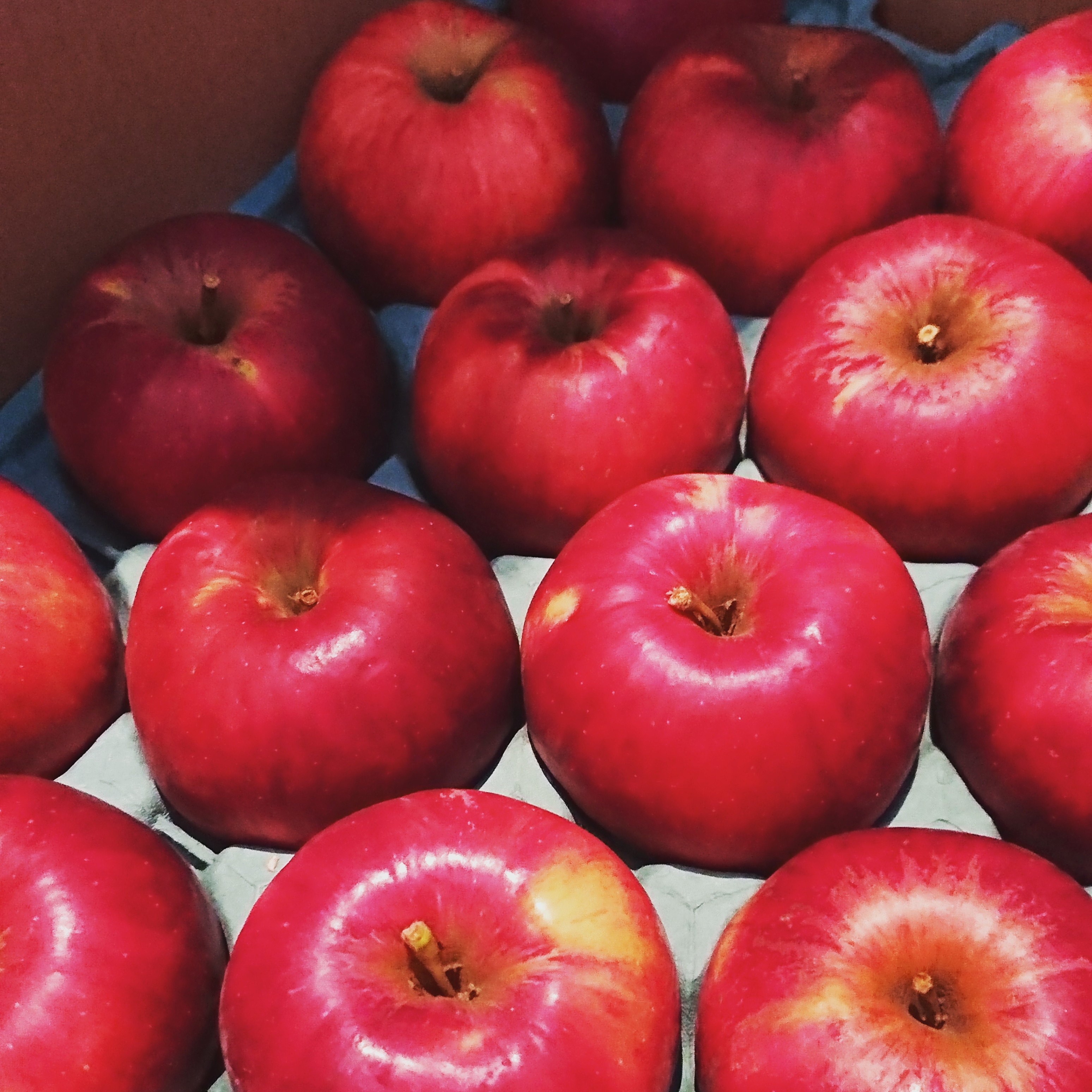 サイトを作りたい、おいしいものって最高の話