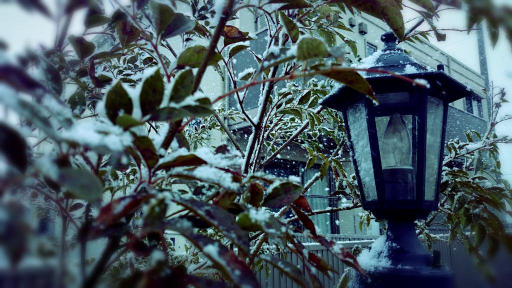 乱藤四郎の印象