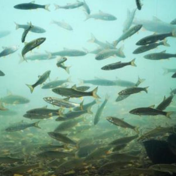 着想思考:上辺とは💭