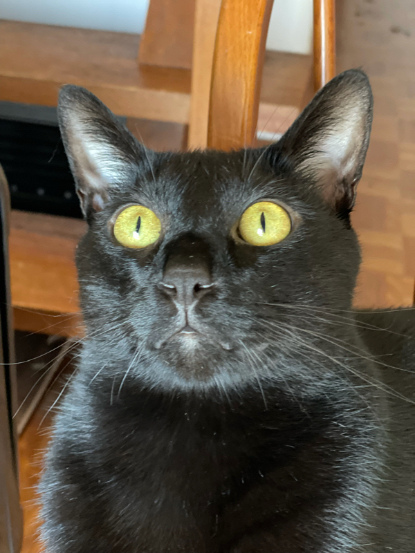 M8 B面 僕もゲスト呼びました