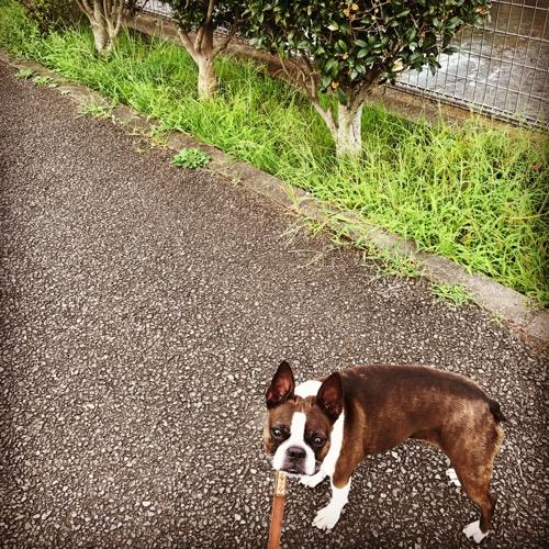 #3  短めのお昼寝を戦略的に取り入れよう！