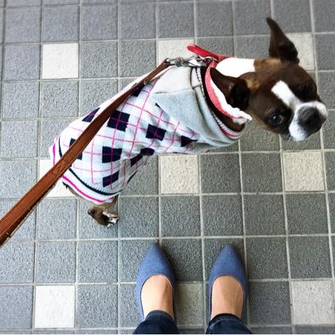 #7  「快眠のための運動」はいつするのがいいの？