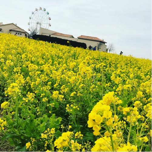 #20 青い鳥を見たらいいことが起きた