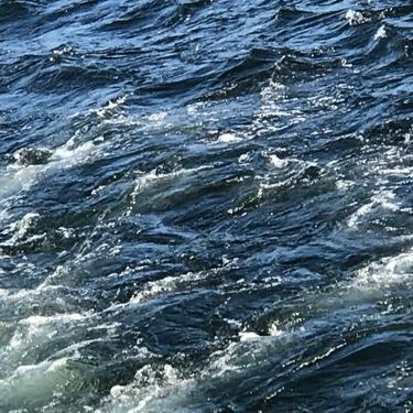 #24 Radiotalkで沼津が熱い？