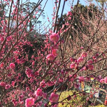 #27 永遠はないから