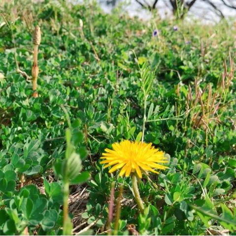 #34 南阿蘇2日目  地球とカラダの同期について