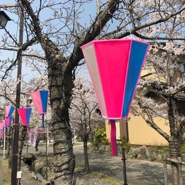 #42 スパイシーすぎる春のぼやき