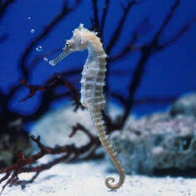 #4 夜のさんぽ  感想