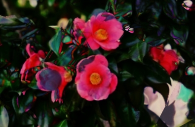 おっさんとブランコの話