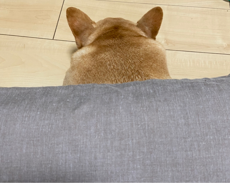 衝動的にはじめたラジオ