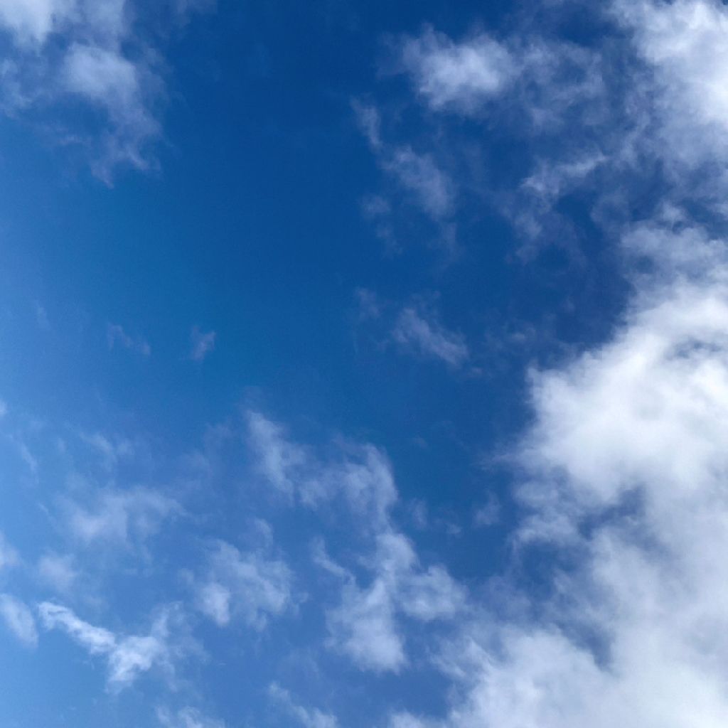 青森の大間の人の生活を知って仰天した