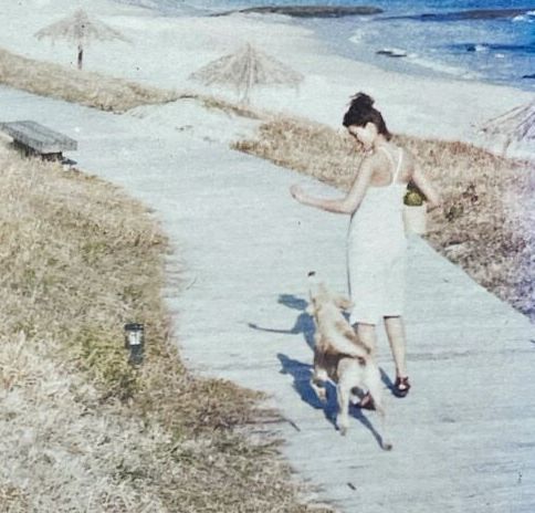 Gaiolas Abertas / Prismatica をギターと歌で多重録音してみました。