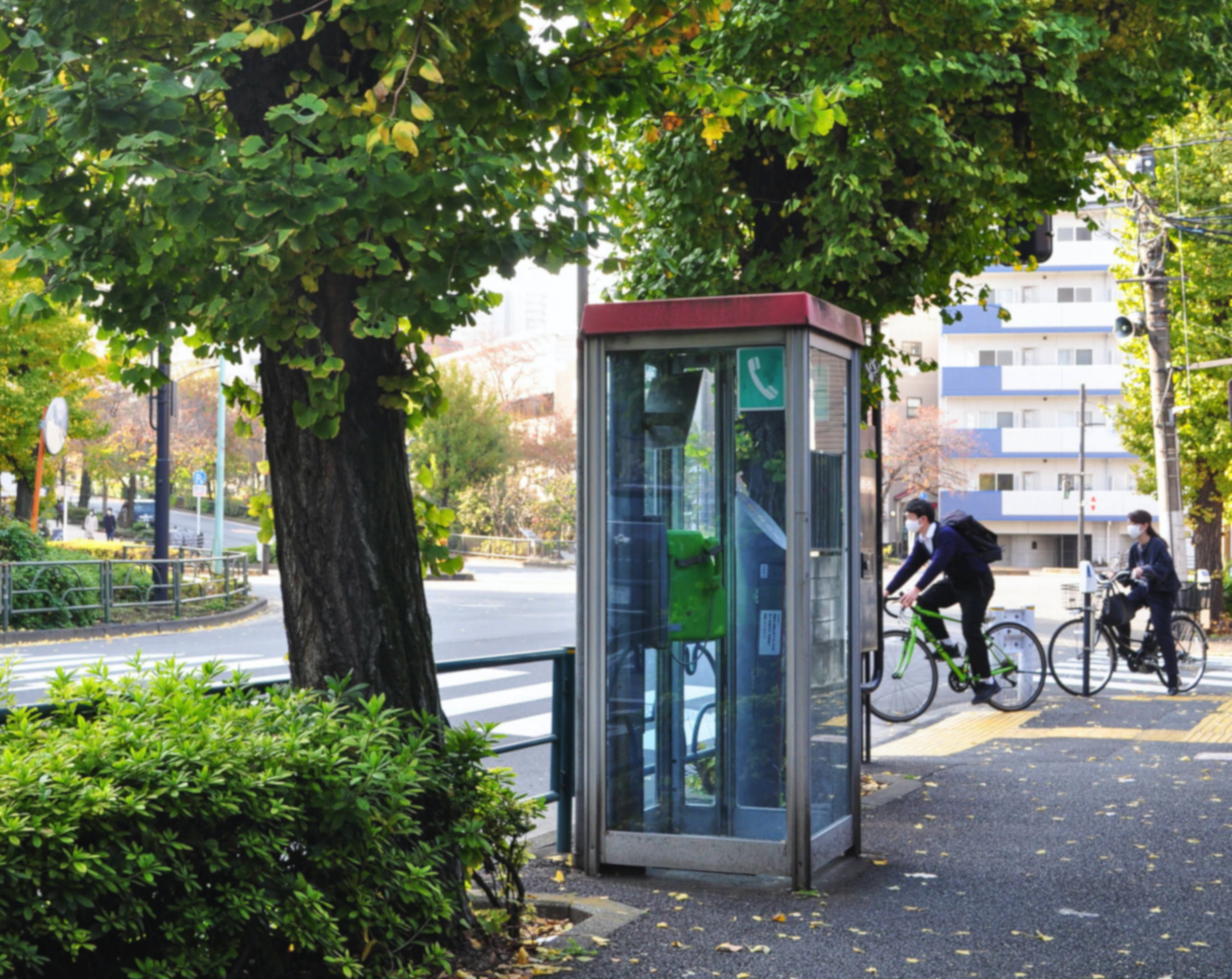 モーニングコール / Kaede をウクレレと歌で多重録音してみました。