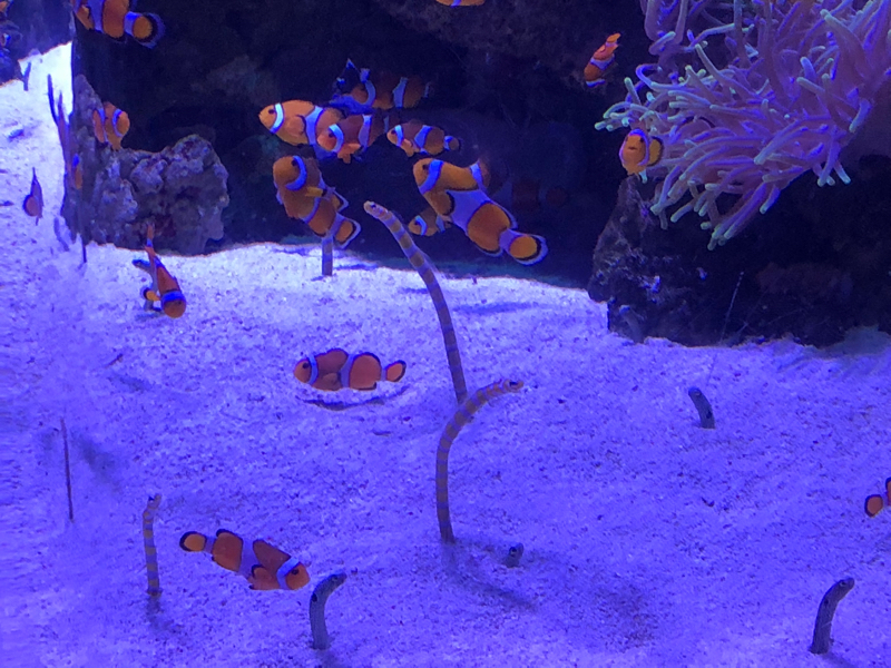 雑談11(最近の悩み)