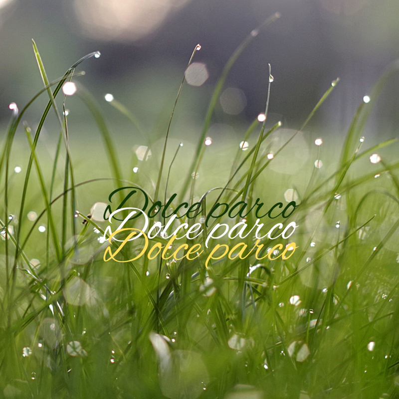 【近況報告】最後まで聴いていただけた方ありがとうございます