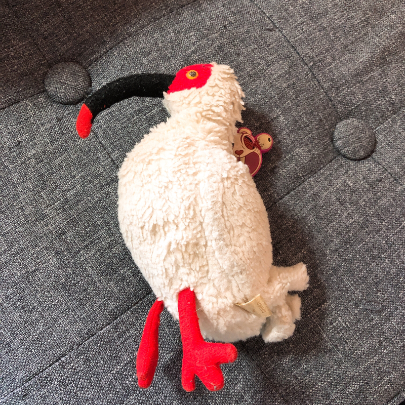 鍵を失くした女の実況中継