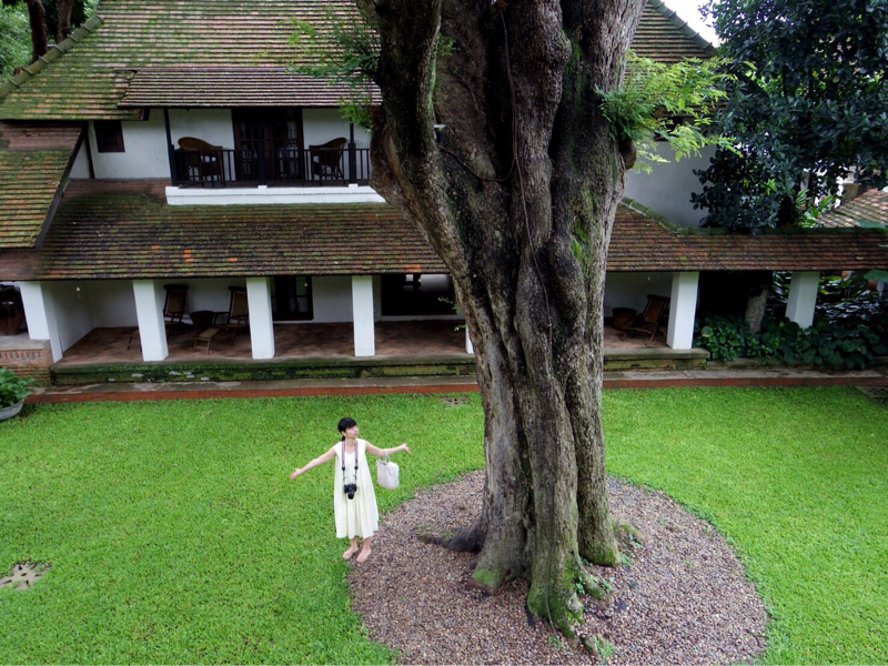 #2 エニアグラムを知ると得られる5つの効果