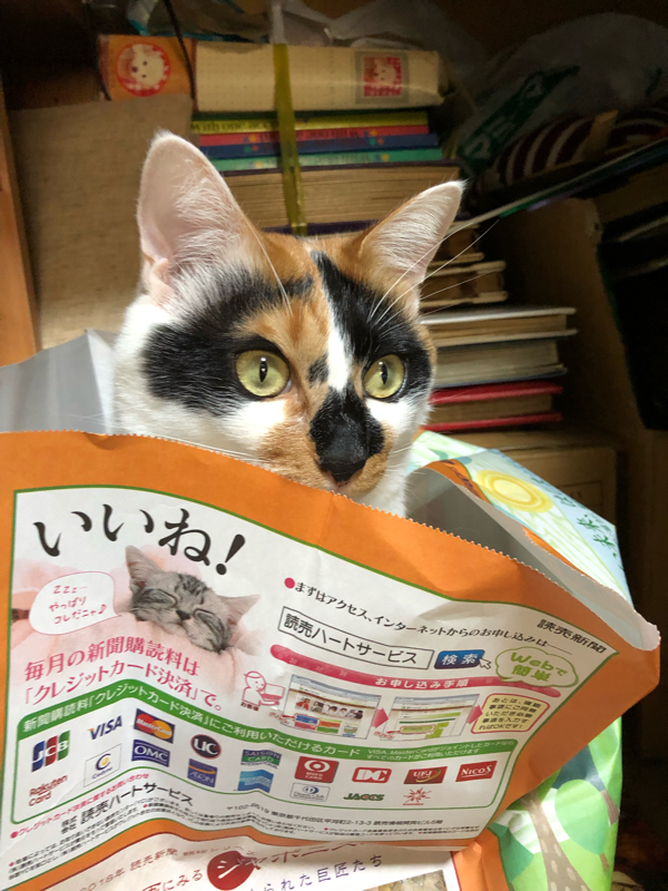 #3 三連休最終日の恐ろしさに耐えきれない独☆蟲