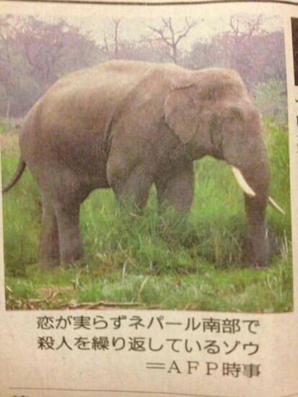 カクテルピアノ 0回