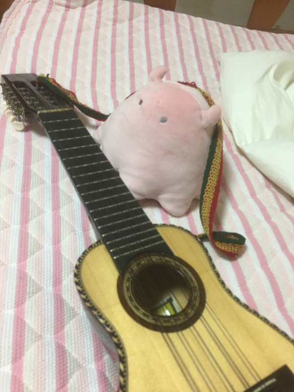 ちょっとチャランゴ