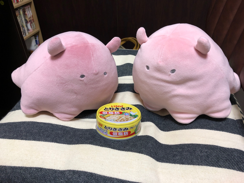 ちょっとチャランゴ