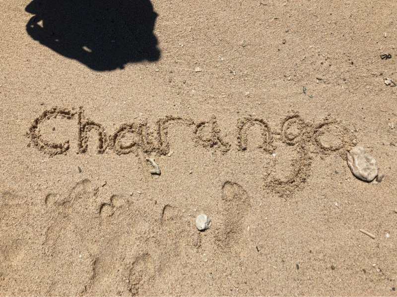 ちょっとチャランゴ