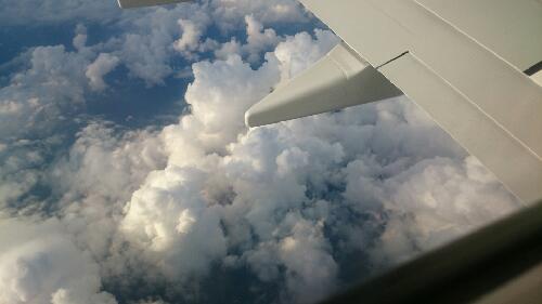 ポルカドットスティングレイの話　第25回