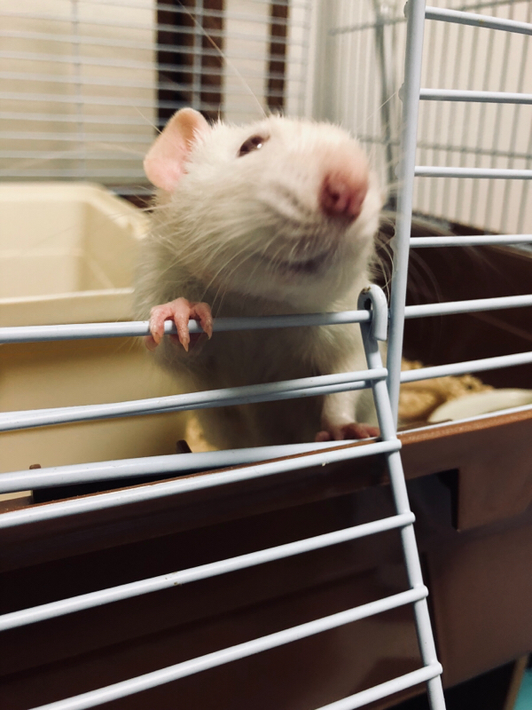 #0｢滑舌の悪いBL語り野郎｣