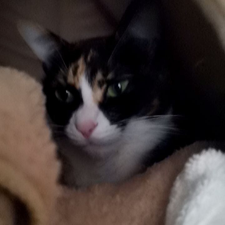 はじめての収録