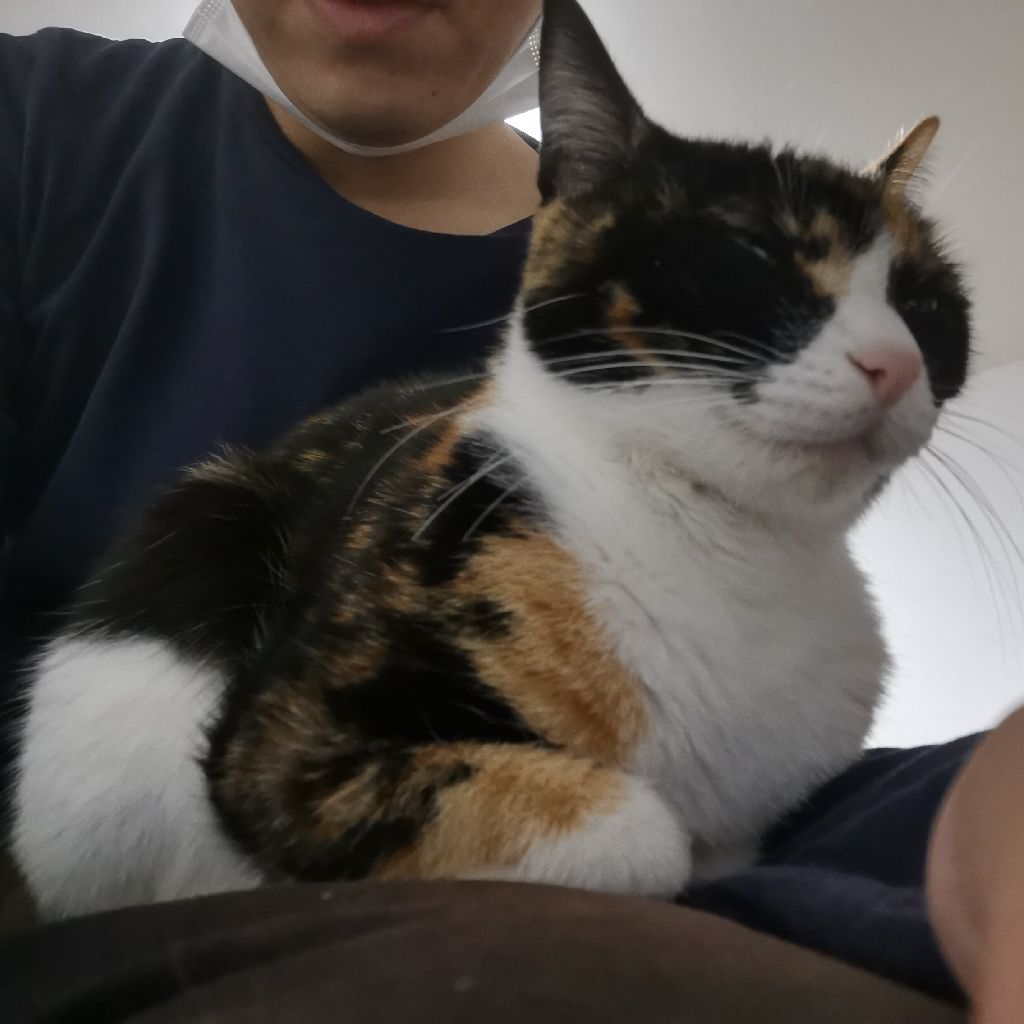 自己紹介と今年買ってよかったもの３つ