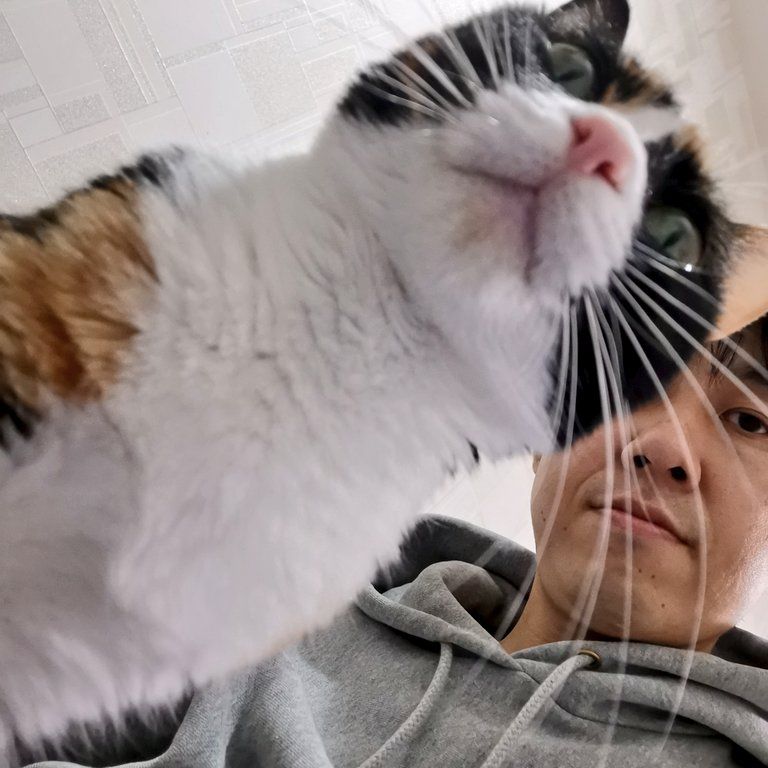 5分間占ってもらった話