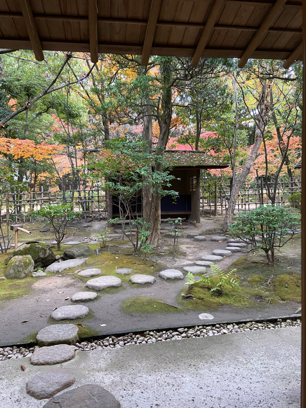 おさるさん  胃腸炎❓ 健康のありがたみを痛感