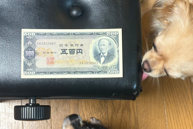 明日はM-1当日です!今回はエントリーが少し遅れたから、一発勝負の本番です!#501