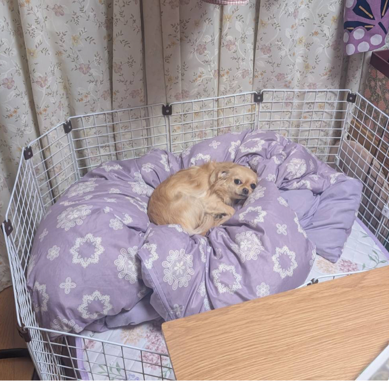 今日は休日のはずが、大学生の熱で急きょ出勤。いつもは閉じてる布団の柵が今日は開いててラッキー#585