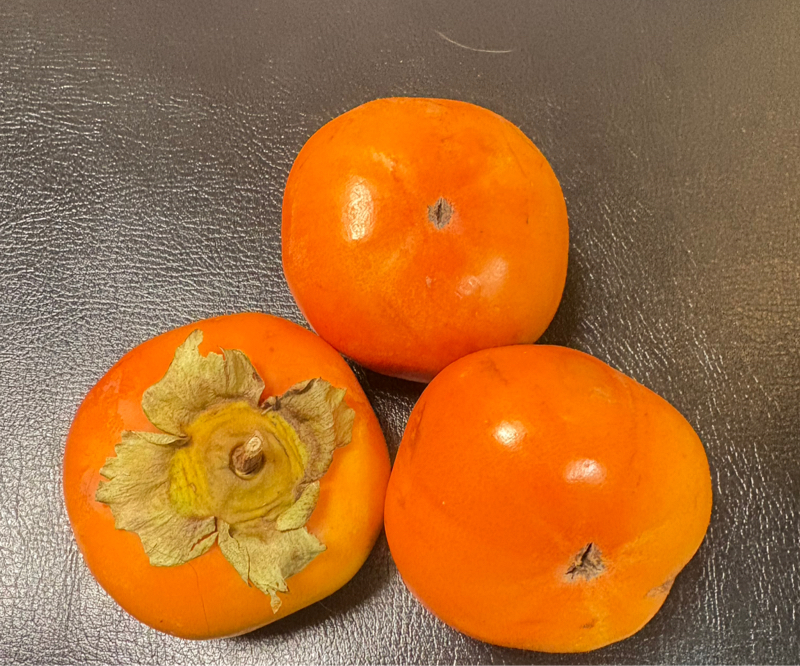 常連さんから「庭にできた柿」をもらった！優しくされると嬉しいなぁ〜#596