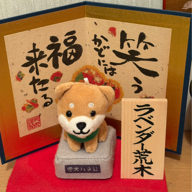 「拾った命なんで、大切にしてくださいね」と言われたラベンダー！#626