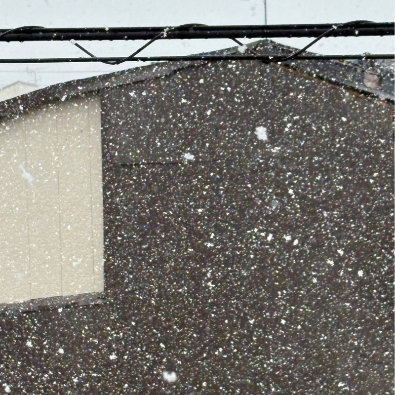 昨日は京都伏見も雪でした！みなさん選挙おつかれさま〜#632