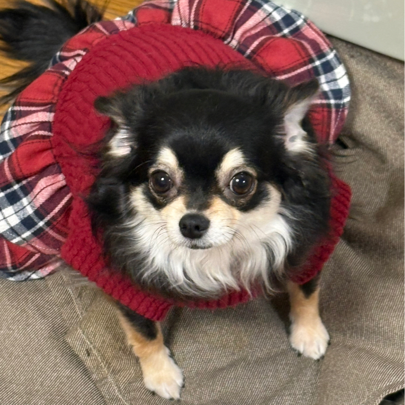 これから2ヶ月半ぶりのコンビニ夜勤に行ってきます！