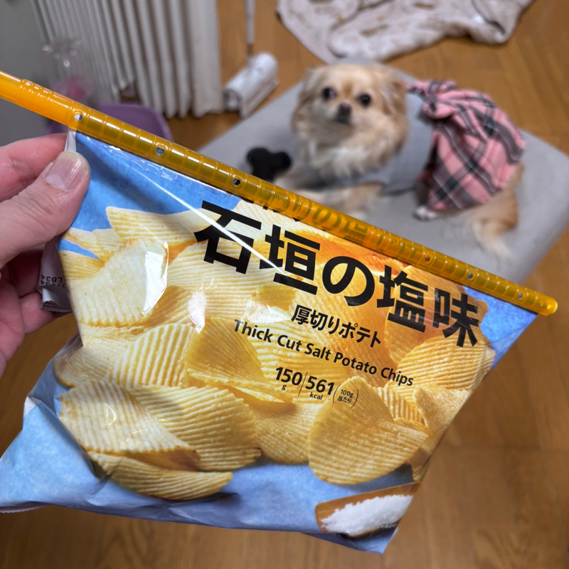 マクドのポテトの揚げたてを食べて「こんなん初めて〜！」と言ってくれた友達#630