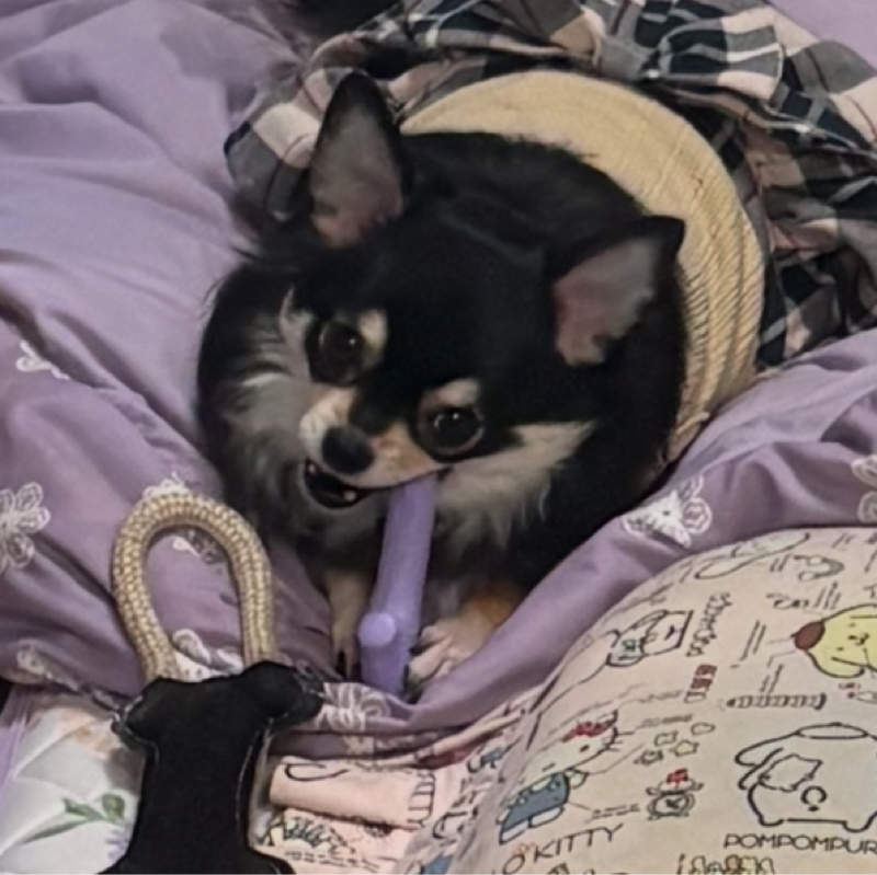 3月と言えば弥生…マーチ。マーチと言えば（笑）