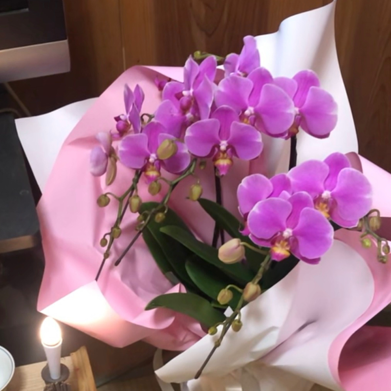 3月9日はイッサンの日です！コロナ禍の前から6年かぁ〜#632